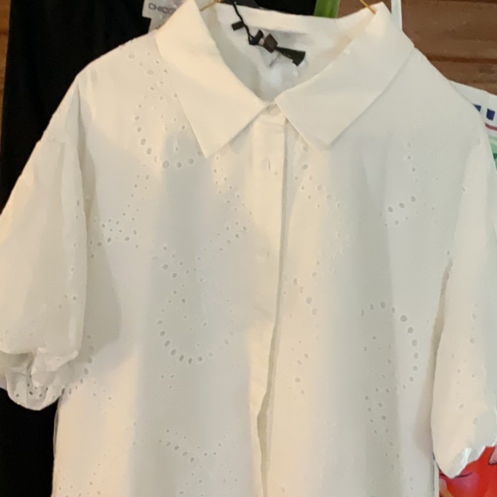 NWT Grazia midi drop waist EYELET DRESS